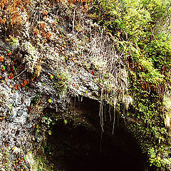 album "Madeira island"