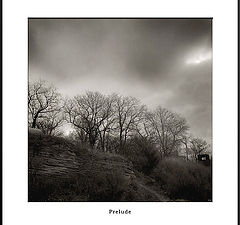 photo ""Prelude""