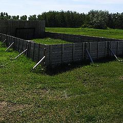 фото "Home Hockey Rink in Summer"