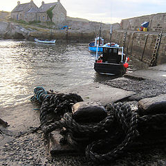 photo "harbour"