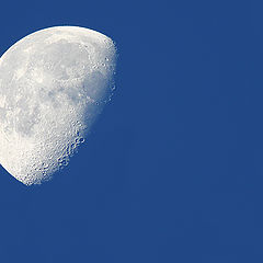 photo "The Moon"