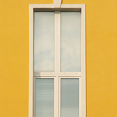 photo "window"