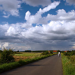 photo "road"