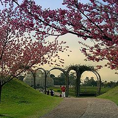 photo "Jardim Botanico"