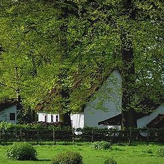 photo "white house"