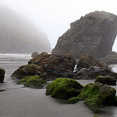 photo "Low Tide"