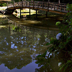 фото "Hiding place"