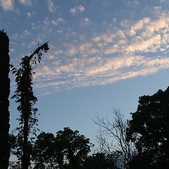 photo "evening sky"