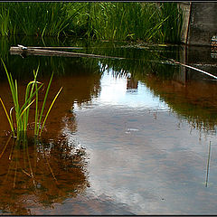 photo "Old dam"