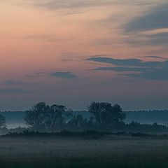 фото "Walk in Fog (1)"