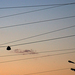 photo "Wire"