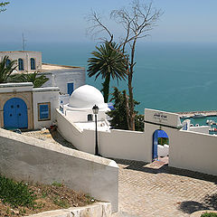 photo "Sidi Bou Said"