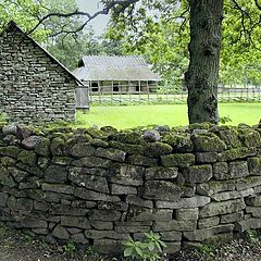 photo "Fencing"