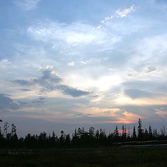 photo "Taiga sundown"