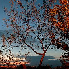 photo "Evening in Poland"