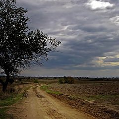 photo "The road to nowhere - part I"