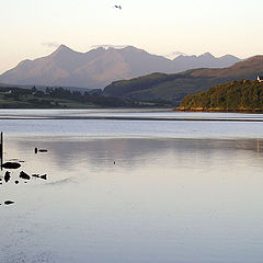 photo "morning in portree"