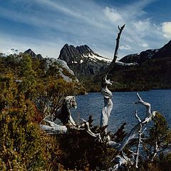 photo "Cradle Mountain, Tasmania"