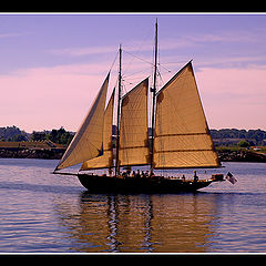 photo "Sails at the Sunset"