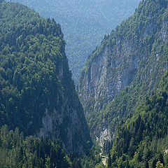 photo "Road to mountains"