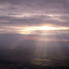 photo "sky searchlights"