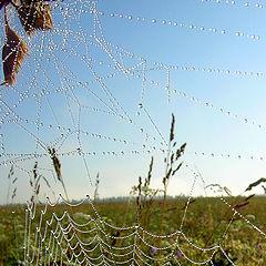 photo "Untitled photo"