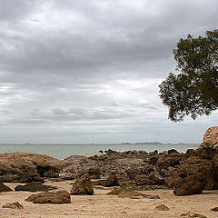 photo "About time to collect stones"