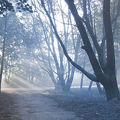 фото "Evening lights"