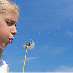 photo "Girl and Dandelyon"