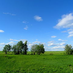 photo "Habitual landscape"