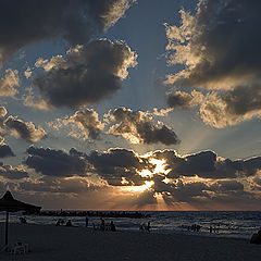photo "on the beach 1"