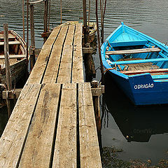 photo "Boats"