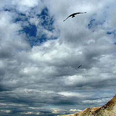 photo "Internal Mongolia"