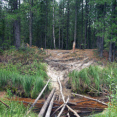 photo "Footbridge"