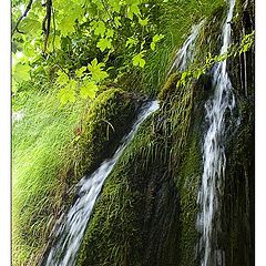 photo "Plitvice Lakes 2"