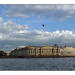 photo "Flying by above city. Saint Petersburg."