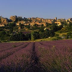 photo "Saignon, Vaucluse"