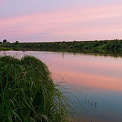 photo "river Oka"