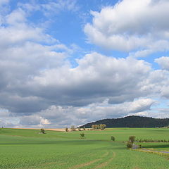 photo "low sky"