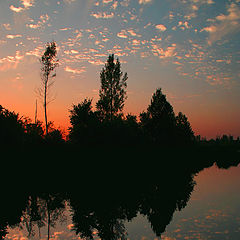 photo "Farewell to summer"