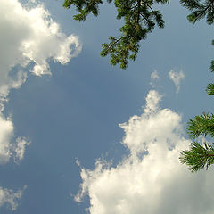 photo "Untitled photo"