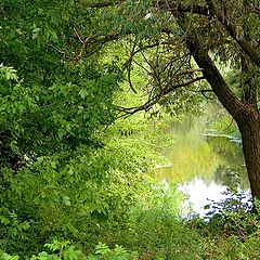 photo "At an old pond."