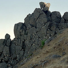 photo "Climb"