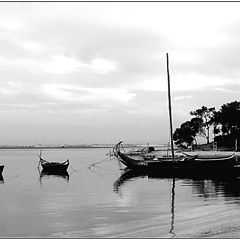 photo "Boats in B/W"