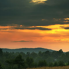 photo "Sunset in field"