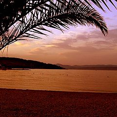 фото "Greeting from the sea"