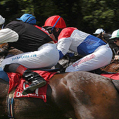 фото "At the races"