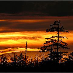 photo "The Gold of the Sky (Chayvo Sunset 18 Aug 2005)"