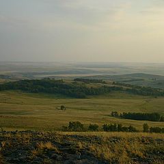 фото "Даль"