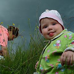 photo "Wild Strawberry Picture"